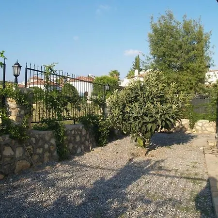 Mutlu Avsallar
